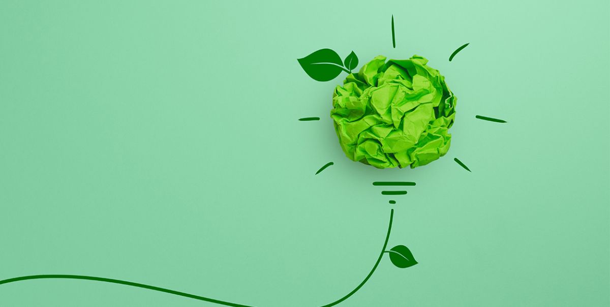 Grüne Papierkugel mit Zeichnung einer Glühbirne symbolisiert Green Marketing
